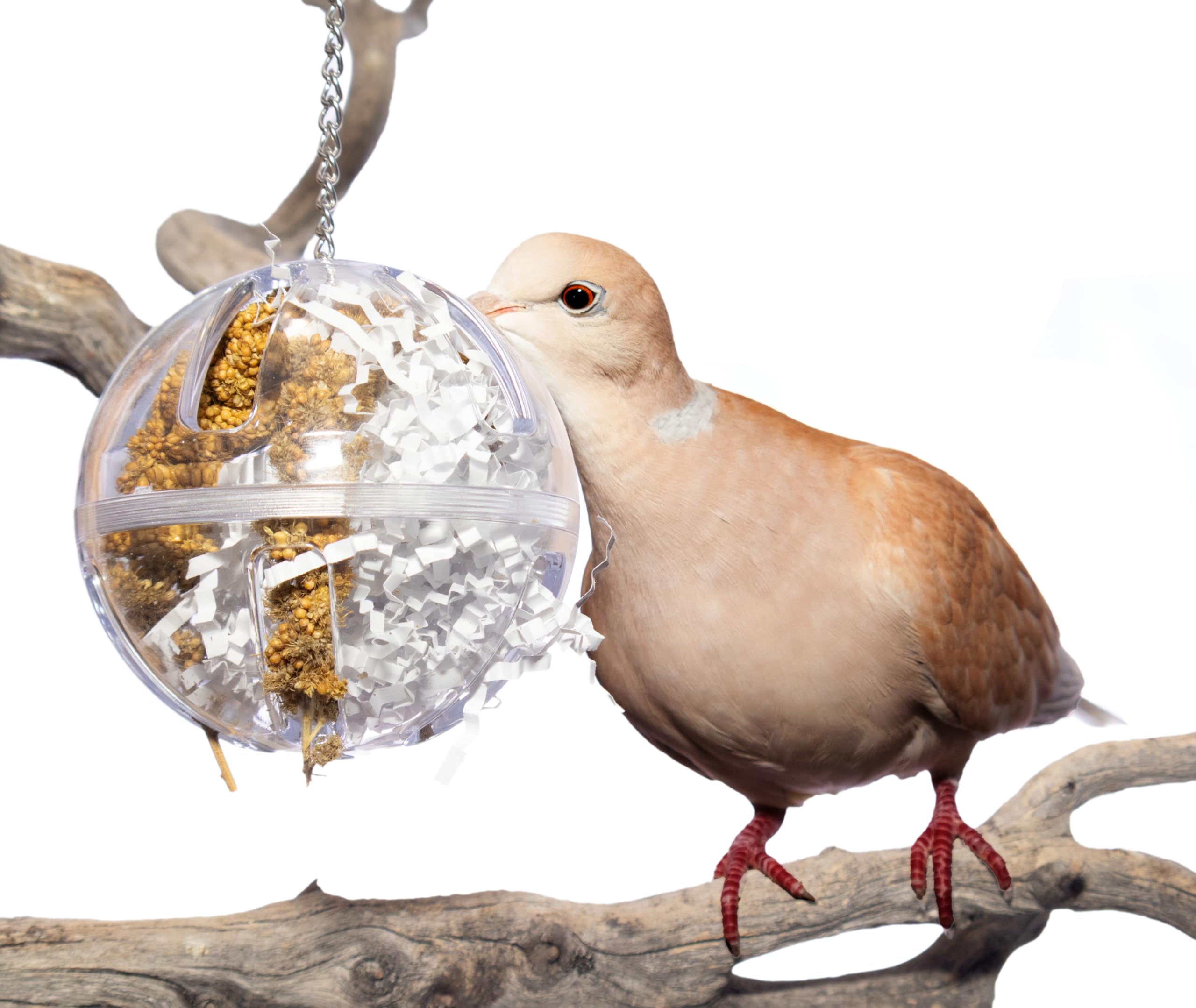 Lovely Little Flyers Bird Foraging Ball Toy with Bell, 3.5 Inch, Interactive Enrichment Hanging Toy for Medium to Large Birds, Bird Toy and Treat Dispenser for Parrots, Plastic Forage Ball for Doves